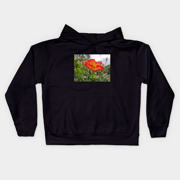 Red and yellow rose Kids Hoodie by claire-l-page